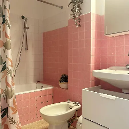Apartment Renove 3 Pieces, Terrasse, Parking Et Climatisation, Proche Centre Et Au Lavandou - Fr-1-251-513